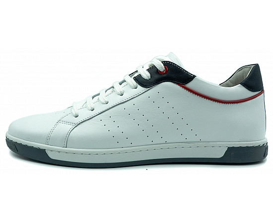Мужские кеды Stepter 7681 біл.шк.